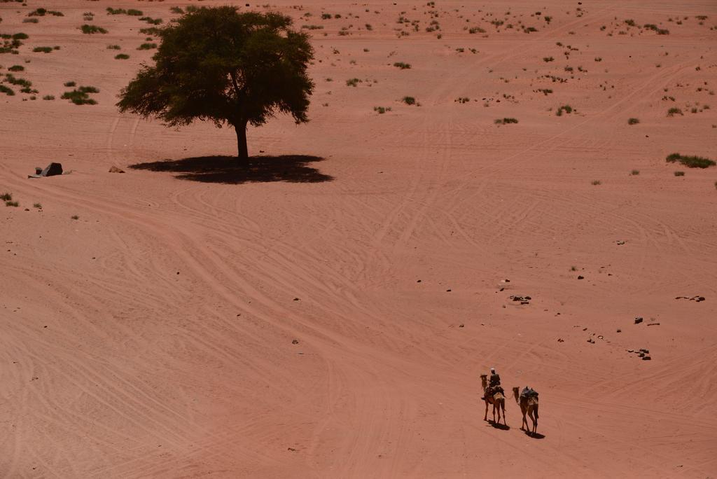 Wadi Rum Sleep Under The Stars Exterior foto